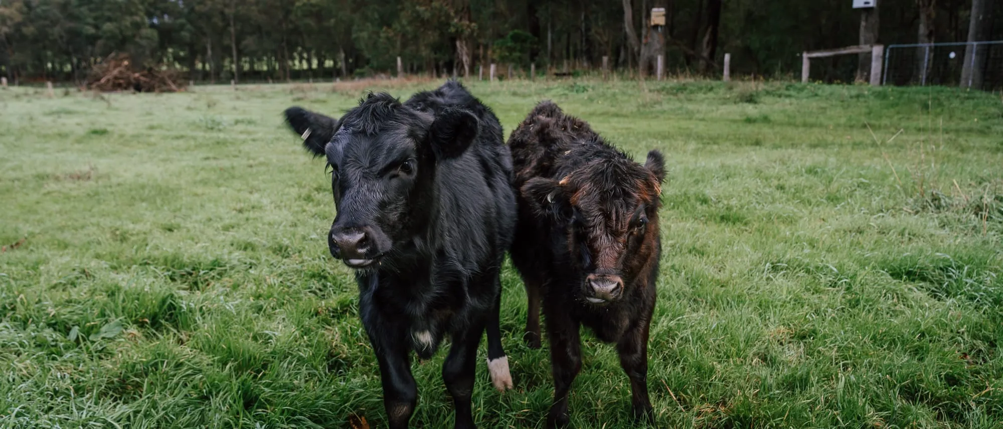 A luxury farm stay retreat in regional Western Australia, perfect for a country escape from Perth.