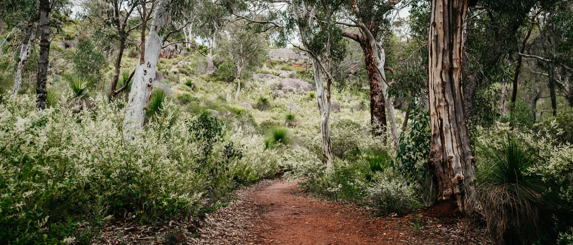 A waterfall cascading over granite rock at John Forrest National Park in the Perth Hills.